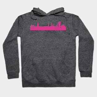 Stockholm skyline pink Hoodie